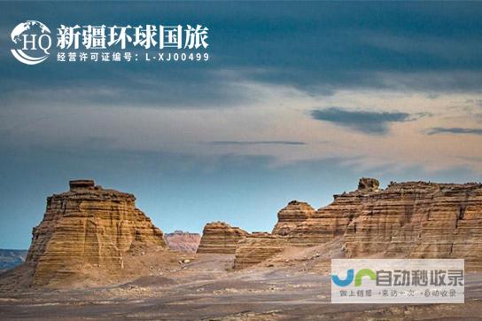 新疆网站建设：打造引流精准营销的专属数字平台