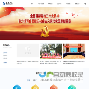 西藏电子商务有限公司